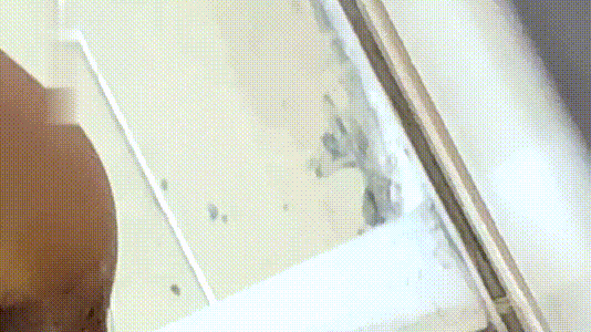 圖檔
